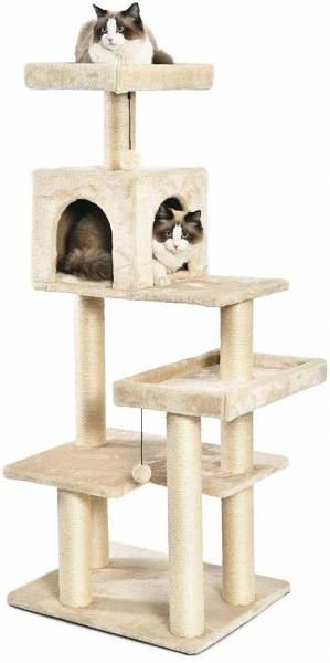 AmazonBasics Multi Level Cat Tree with Scratching Posts