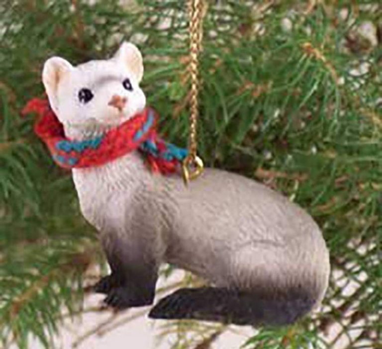 10 Best Gifts For Ferret Lovers Why Are They So Exceptional? All