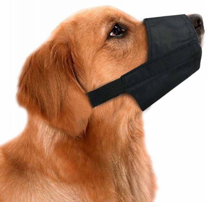 dog muzzle for chewers