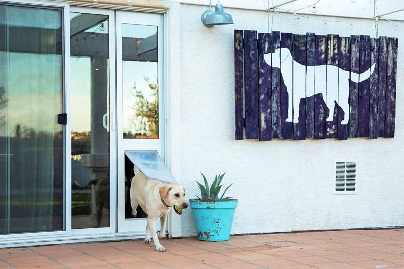 Best 6 Dog Door For Sliding Glass Door (Reviews) - Our Top Picks - All ...