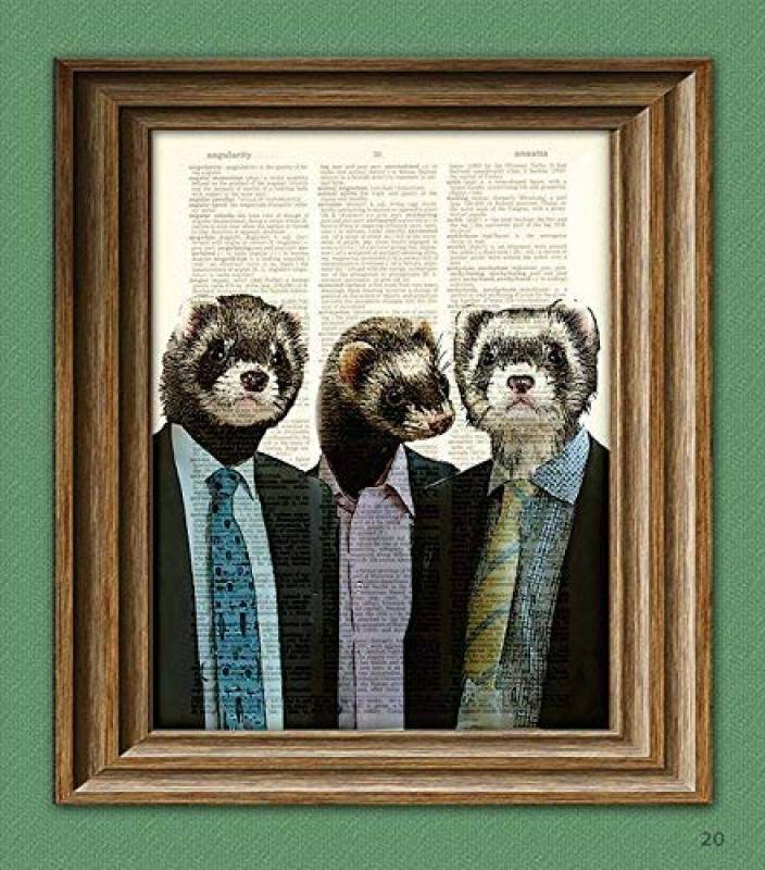 Ferret Art Print a Business of Ferrets Illustration Animal Groups