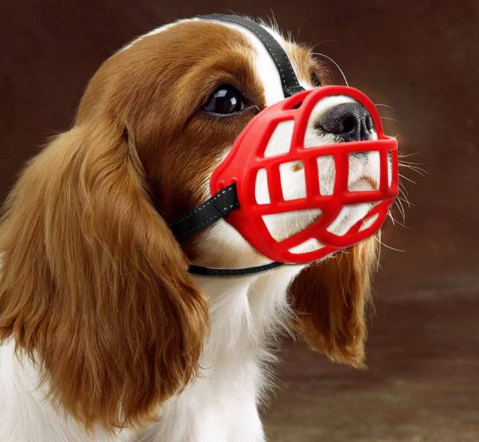 dog muzzle that allows eating and drinking