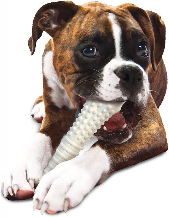 Nylabone Power Chew Flavored Durable Chew Toy for Dogs
