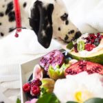How To Fatten Up A Dog On Raw Diet