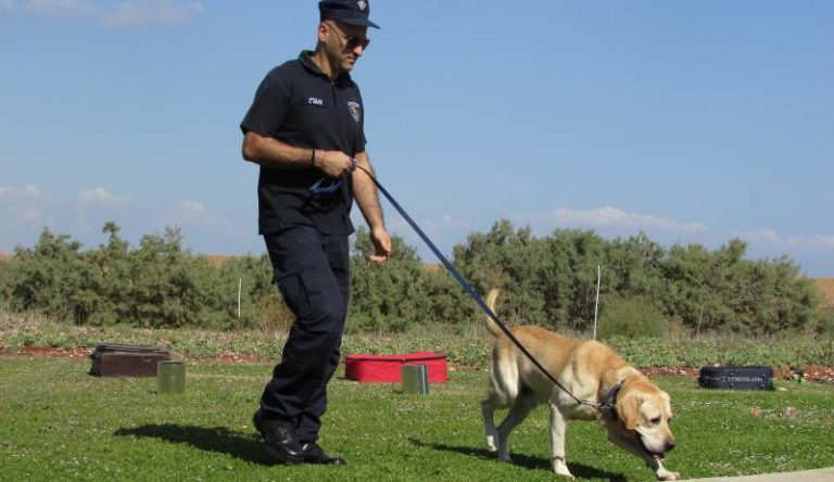 do-police-dogs-get-paid-you-didn-t-know-this-all-about-pets