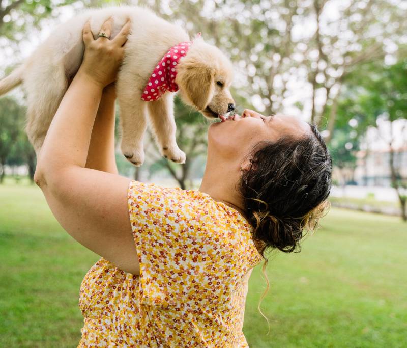 Resons why dogs Lick inside owner's Mouth