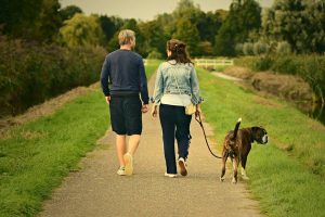 Does A Male Dog Know When The Female Dog Is Pregnant? - All About Pets